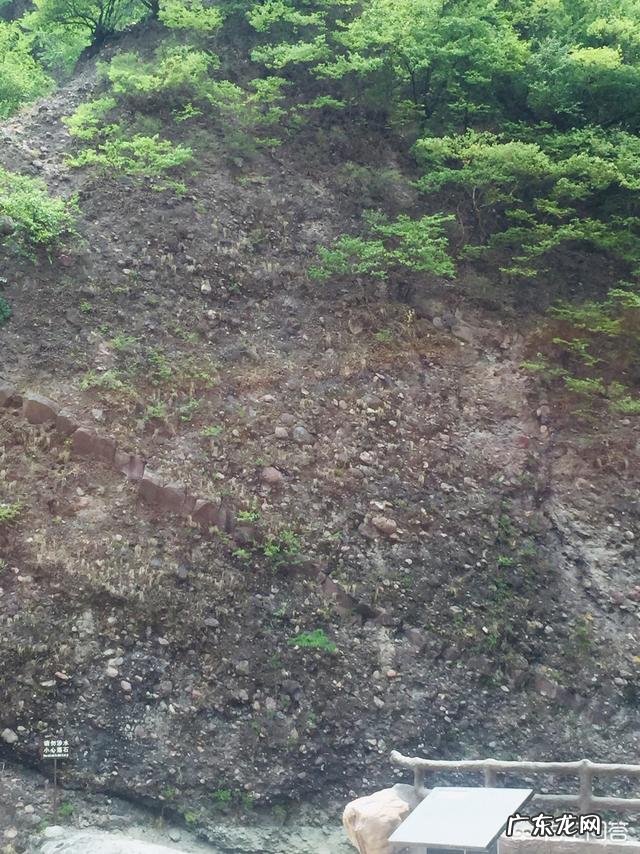 边旅游边赚钱的项目是什么? 请问边旅游边赚钱的工作有吗?