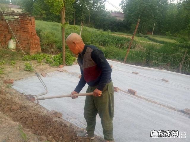 农村没有土地的人怎么办? 在老家有几百亩土地,怎样做能赚钱?