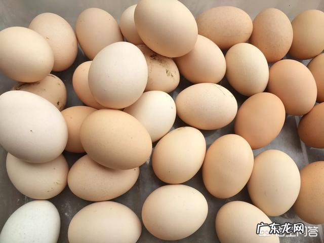 农村没有土地的人怎么办? 在老家有几百亩土地,怎样做能赚钱?