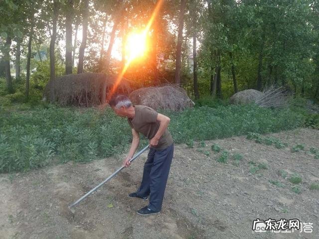 农村没有土地的人怎么办？ 在老家有几百亩土地，怎样做能赚钱？