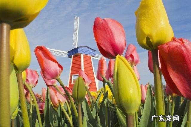 30个农村办厂项目？ 什么项目适合农村家庭作坊创业？