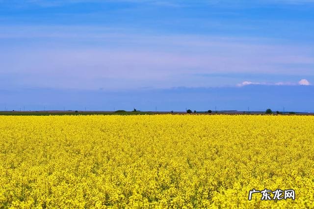 30个农村办厂项目？ 什么项目适合农村家庭作坊创业？