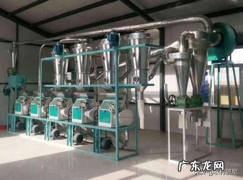 30个农村办厂项目？ 什么项目适合农村家庭作坊创业？