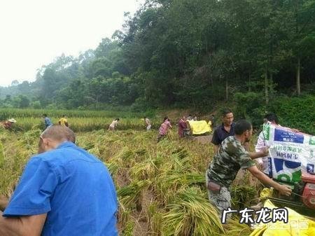 村庄合并是什么意思? 农村村庄合并,有什么大的生意机会吗?