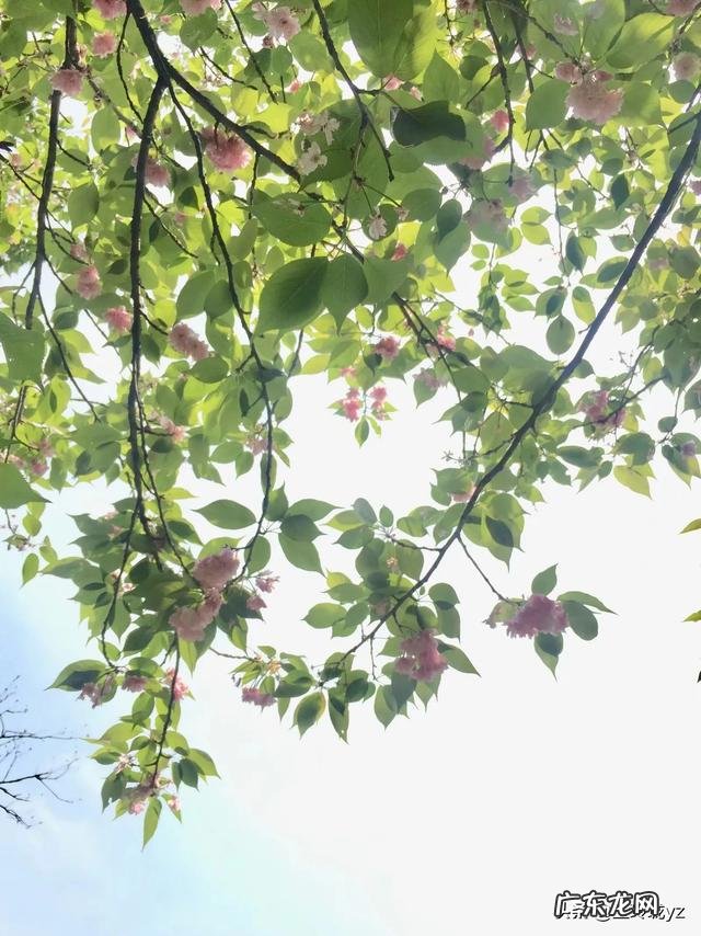 什么网站最好 有什么好的网赚项目?目前有哪个好项目致富