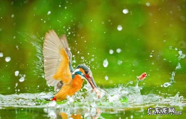 互联网时代如何赚钱 互联网现在有什么赚钱项目?互联网0成本暴利项目