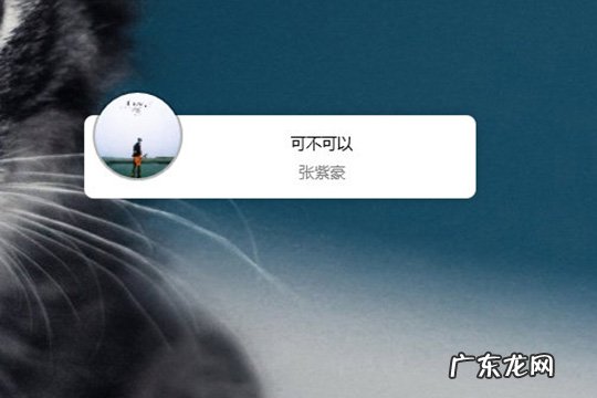 qq音乐简洁模式 QQ音乐怎么开启精简模式