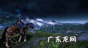 《巫师》赚钱攻略