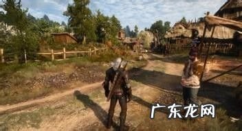 《巫师》赚钱攻略