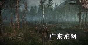 《巫师》赚钱攻略