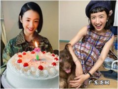 林依晨资料身世 林依晨资料