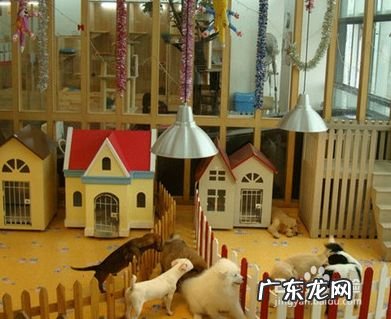 在全球时刻个人创业经验分享