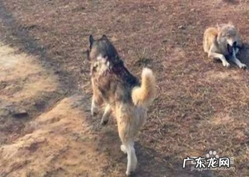 赚钱个人怎样用视频赚钱