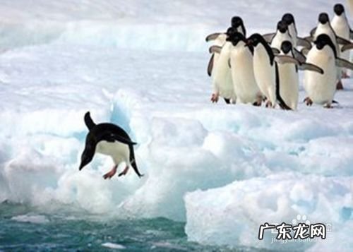 赚钱个人怎样用视频赚钱