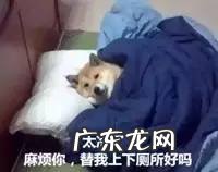 宋钟基文彩媛分手 宋钟基文彩媛