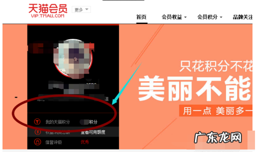 天猫积分有效期在哪里看？有效期多久？