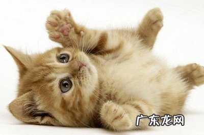 ps怎么画出粉笔线条 PS粉笔画效果怎么做