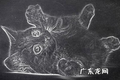 ps怎么画出粉笔线条 PS粉笔画效果怎么做