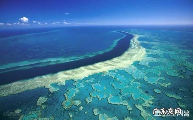 移动营销案例100例 有哪些经典叫绝的营销案例,营销案例100例