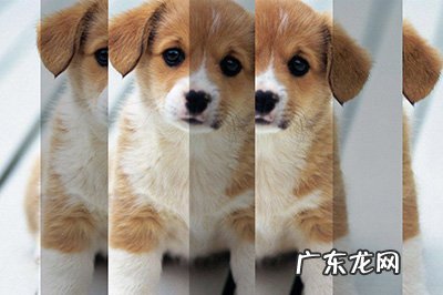 怎么用ps将人物进行重叠效果 PS人物多重镜像效果制作方法