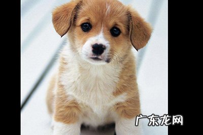 怎么用ps将人物进行重叠效果 PS人物多重镜像效果制作方法