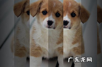 怎么用ps将人物进行重叠效果 PS人物多重镜像效果制作方法