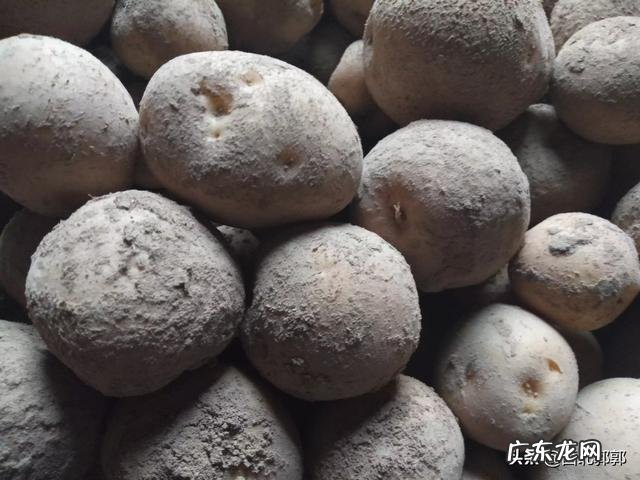 冷门暴利行业 农村将来的暴利行业会是什么,目前最赚钱的暴利行业