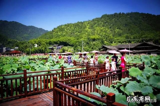 冷门暴利行业 农村将来的暴利行业会是什么,目前最赚钱的暴利行业