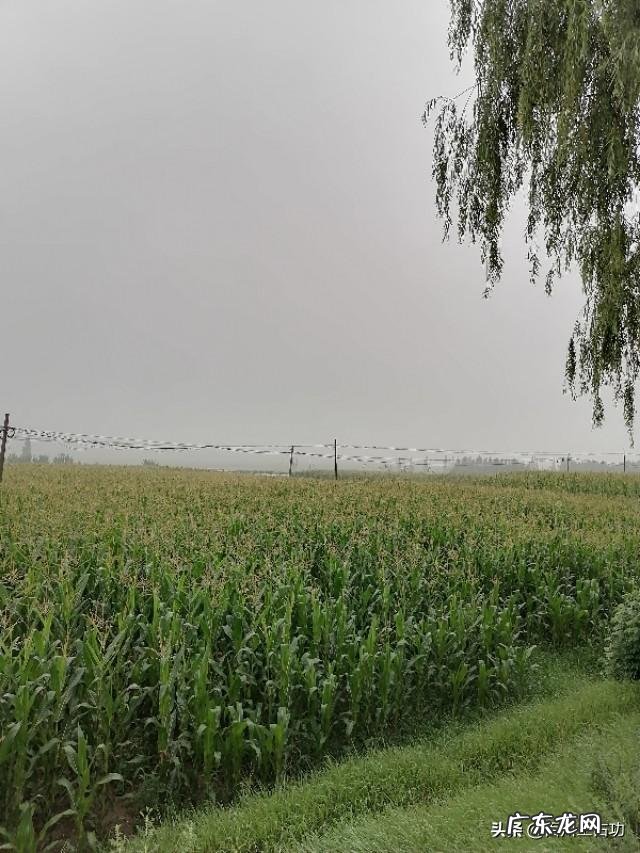 冷门暴利行业 农村将来的暴利行业会是什么,目前最赚钱的暴利行业