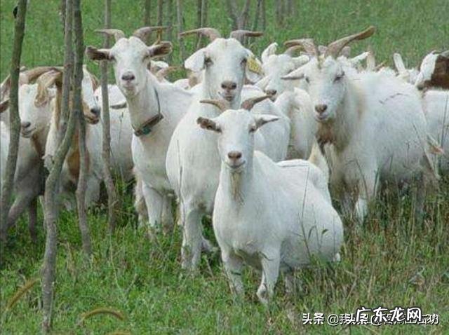 冷门暴利行业 农村将来的暴利行业会是什么,目前最赚钱的暴利行业