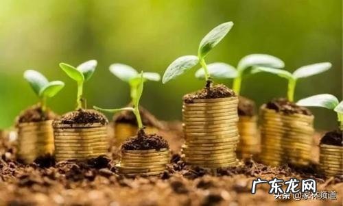 冷门暴利行业 农村将来的暴利行业会是什么,目前最赚钱的暴利行业