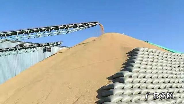 冷门暴利行业 农村将来的暴利行业会是什么,目前最赚钱的暴利行业