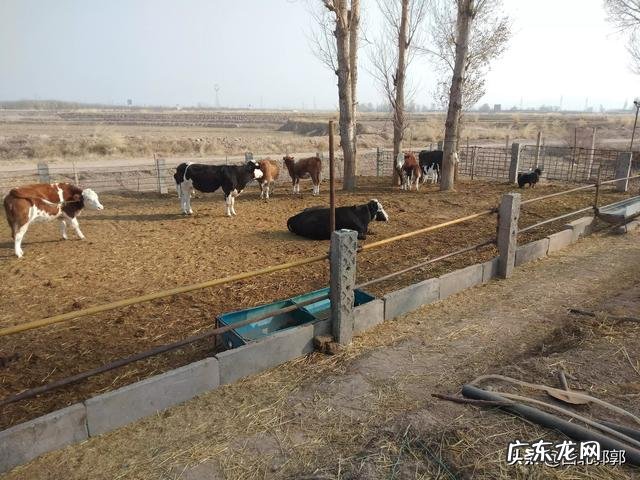 冷门暴利行业 农村将来的暴利行业会是什么,目前最赚钱的暴利行业