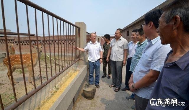 冷门暴利行业 农村将来的暴利行业会是什么,目前最赚钱的暴利行业