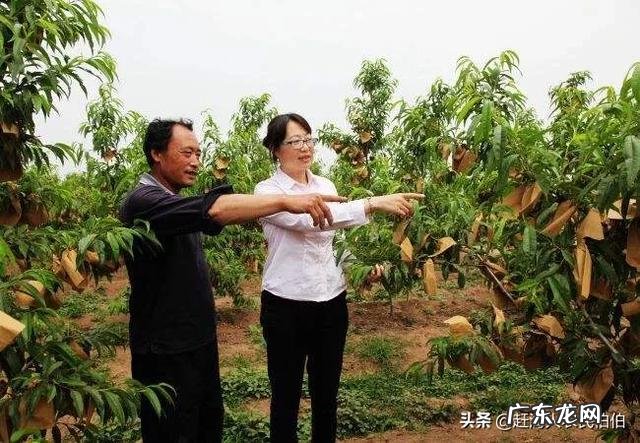 适合穷人的创业项目 2020年适合穷人创业的项目有哪些,适合创业的好项目