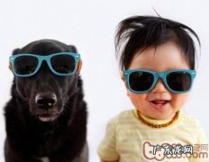 主人家怎样教育小孩和狗交往