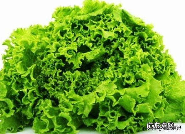 备孕女吃什么蔬菜比较好?