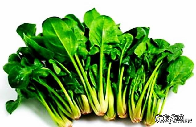 备孕女吃什么蔬菜比较好?