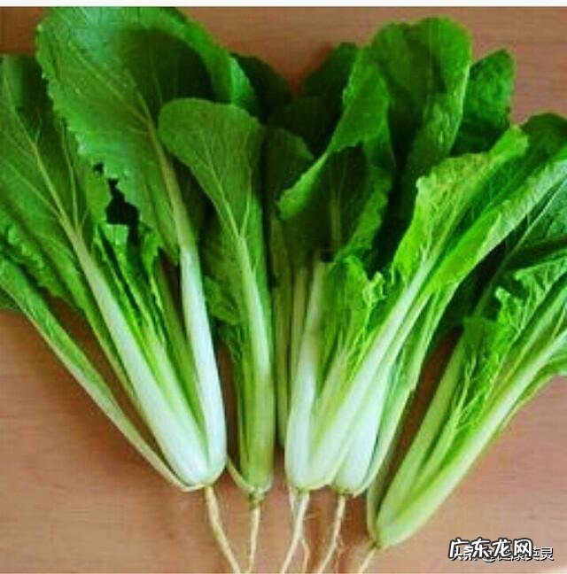 备孕女吃什么蔬菜比较好？