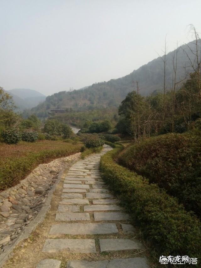 投资小回报大的小生意 投资一万可以做什么小生意,2万投资干点啥小买卖