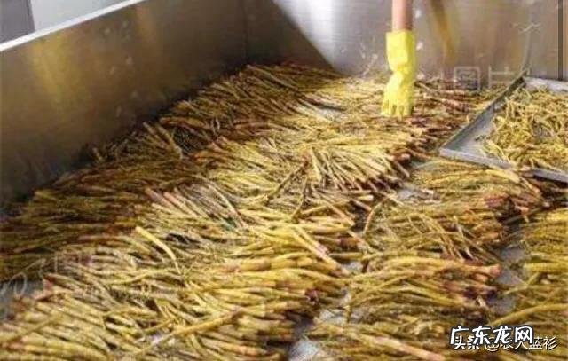 家庭作坊加工项目 农村加工厂什么好,好找销路,不愁销路的小型加工厂