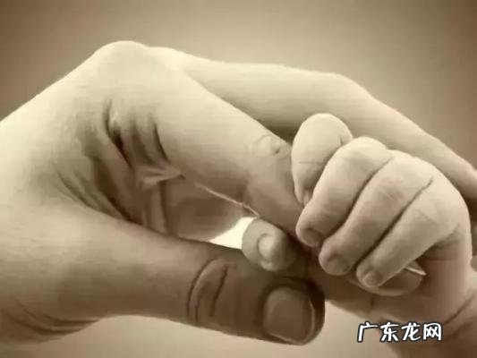 林韦伶跟狄莺道歉 林韦伶狄莺