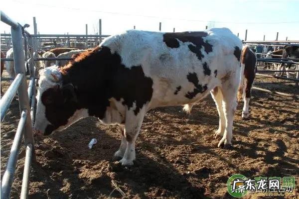 十大暴利行业 农村将来的暴利行业会是什么,冷门暴利行业