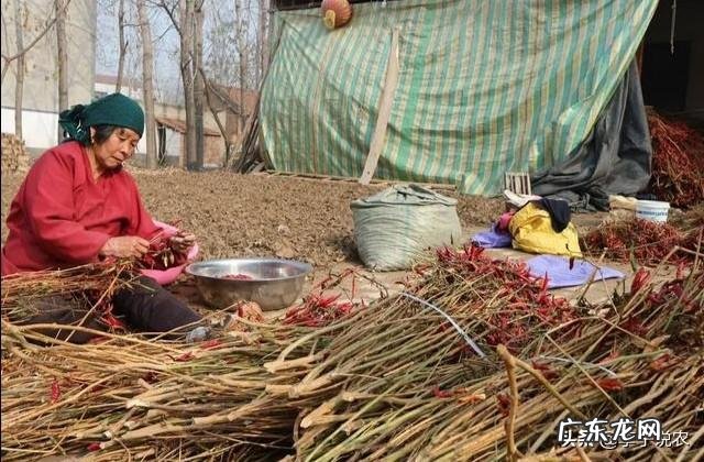 十大暴利行业 农村将来的暴利行业会是什么,冷门暴利行业