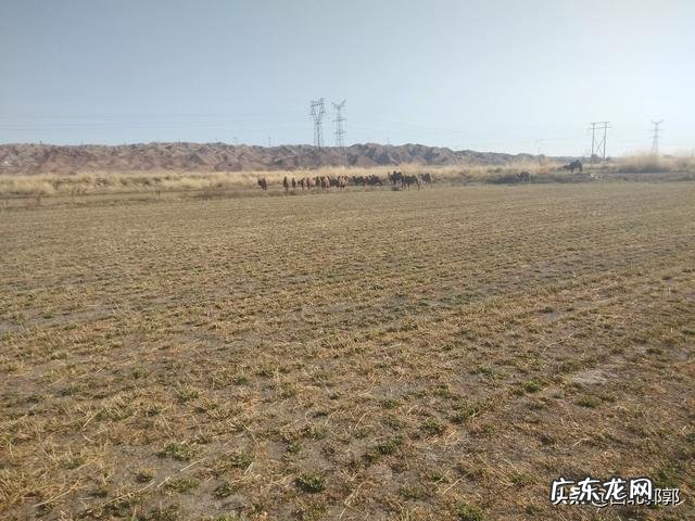 十大暴利行业 农村将来的暴利行业会是什么,冷门暴利行业