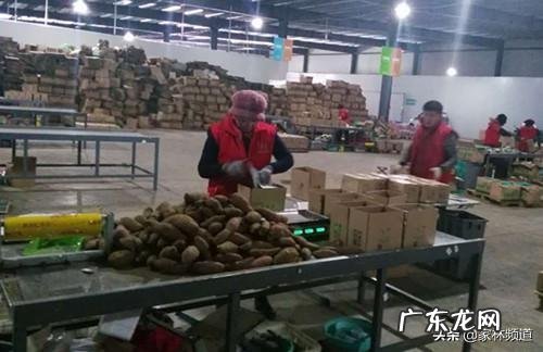 十大暴利行业 农村将来的暴利行业会是什么,冷门暴利行业