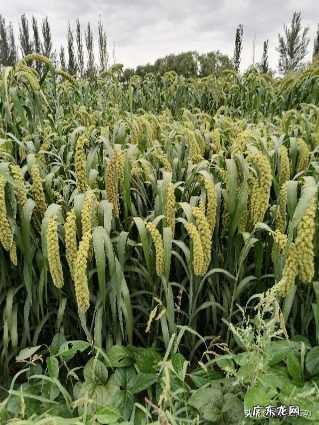 十大暴利行业 农村将来的暴利行业会是什么,冷门暴利行业