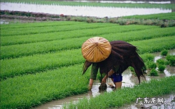 十大暴利行业 农村将来的暴利行业会是什么,冷门暴利行业
