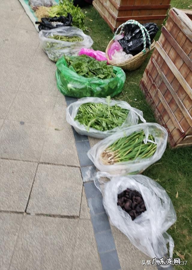 有没有投资小，适合中年妇女做的小生意