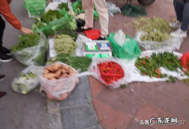 有没有投资小，适合中年妇女做的小生意